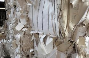 paper scrap